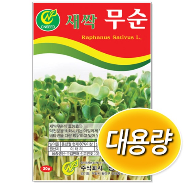 [학습부자재] 대용량 새싹 무순 씨앗 (500g/1kg)