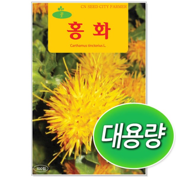 [학습부자재] 대용량 홍화 씨앗 (100g)