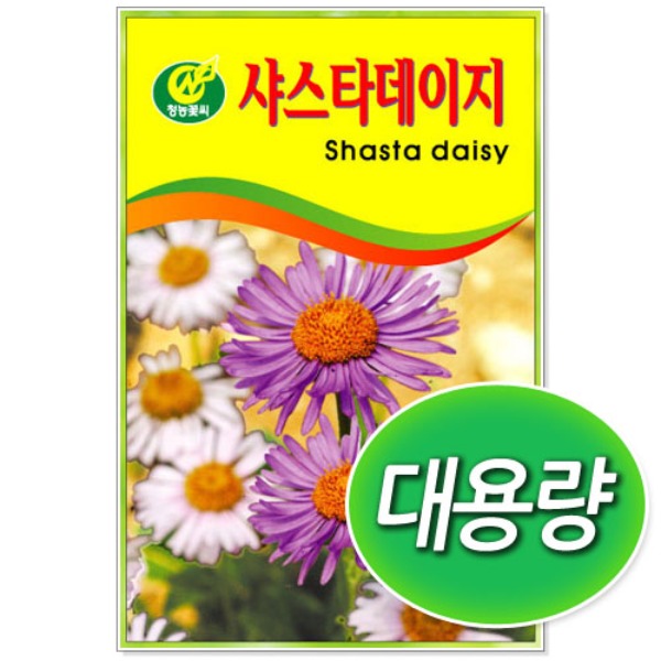 [학습부자재] 대용량 샤스타데이지 씨앗 (100g/300g)
