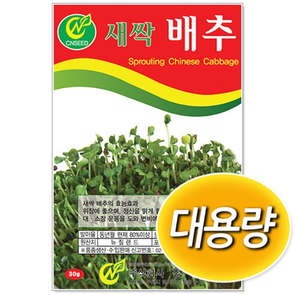 [학습부자재] 대용량 새싹 배추 씨앗 (500g/1kg)