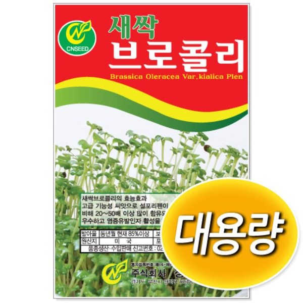 [학습부자재] 대용량 새싹 브로콜리 씨앗 (500g/1kg)