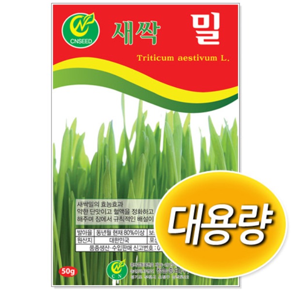 [학습부자재] 대용량 새싹 밀 씨앗 (500g/1kg)