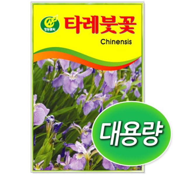 [학습부자재] 대용량 타레붓꽃 씨앗 (100g/300g)